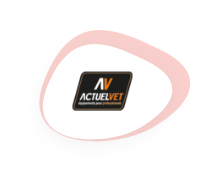 Logo partenaire Actuel Vet